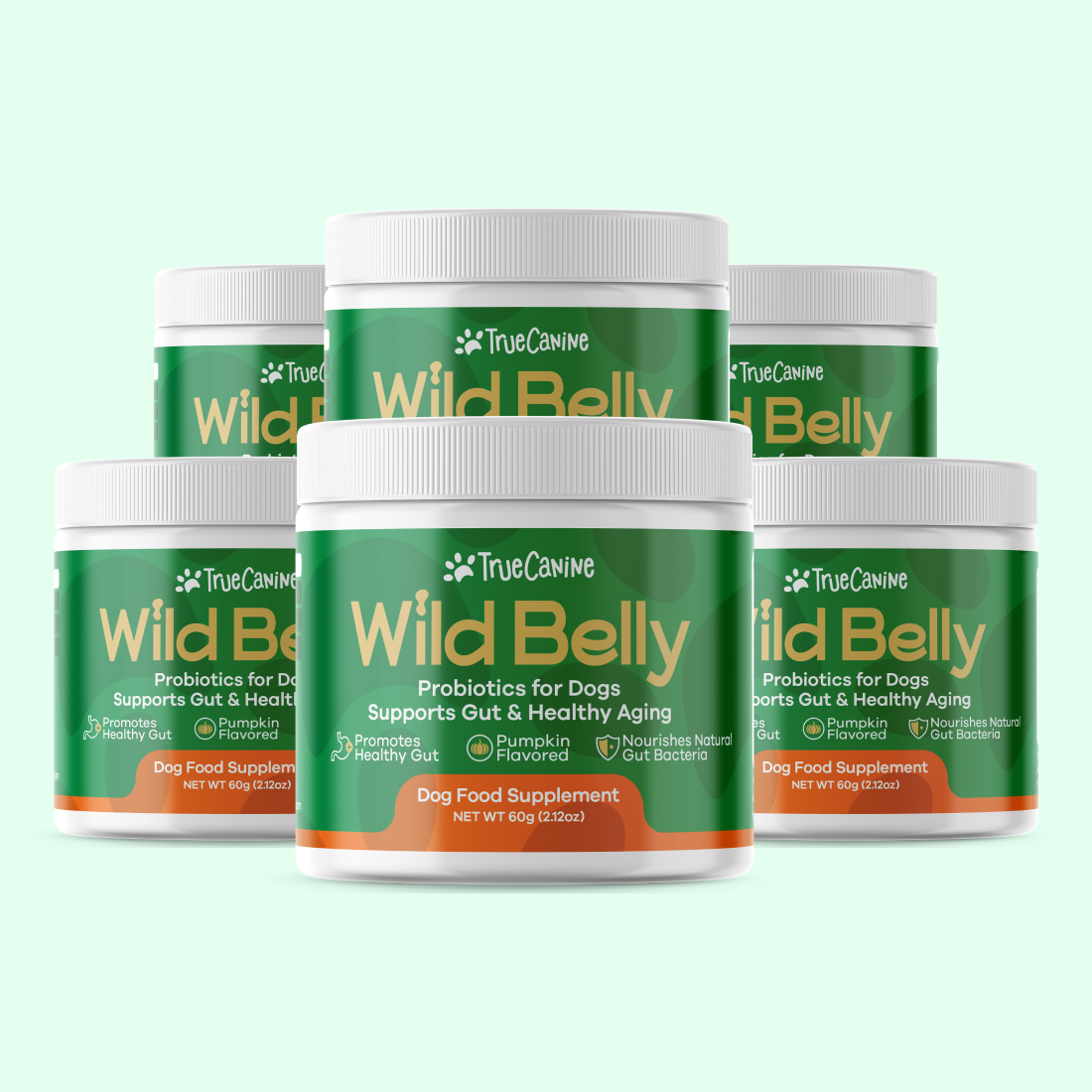Six jars of Wild Belly pumpkin-flavored probiotic powder for dogs — 6-jar package